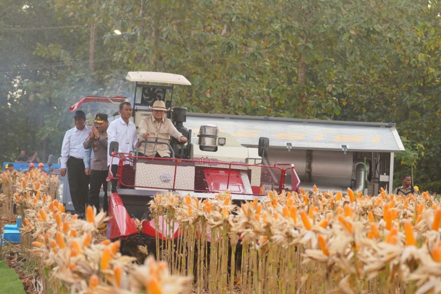 Presiden Prabowo dan Kapolri Panen Raya Jagung Nasional di Tuban Perkuat Ketahanan Pangan