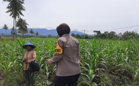 Polres Malang Kawal Ketahanan Pangan, Bhabinkamtibmas Turun Dampingi Petani